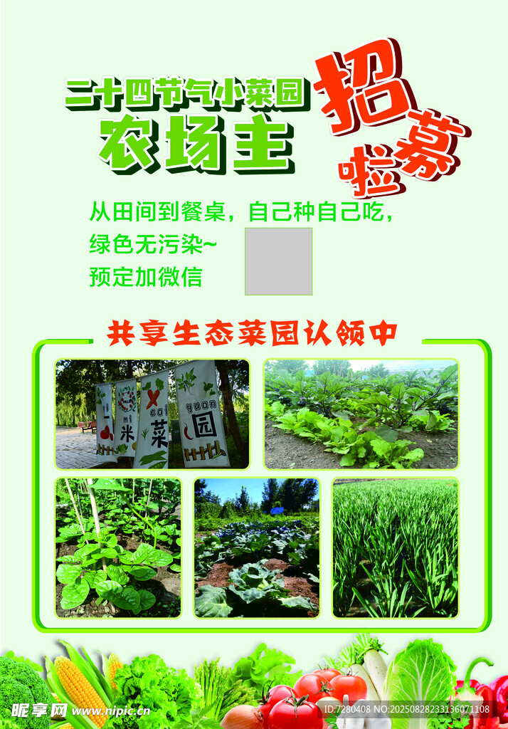 有机蔬菜种植展示
