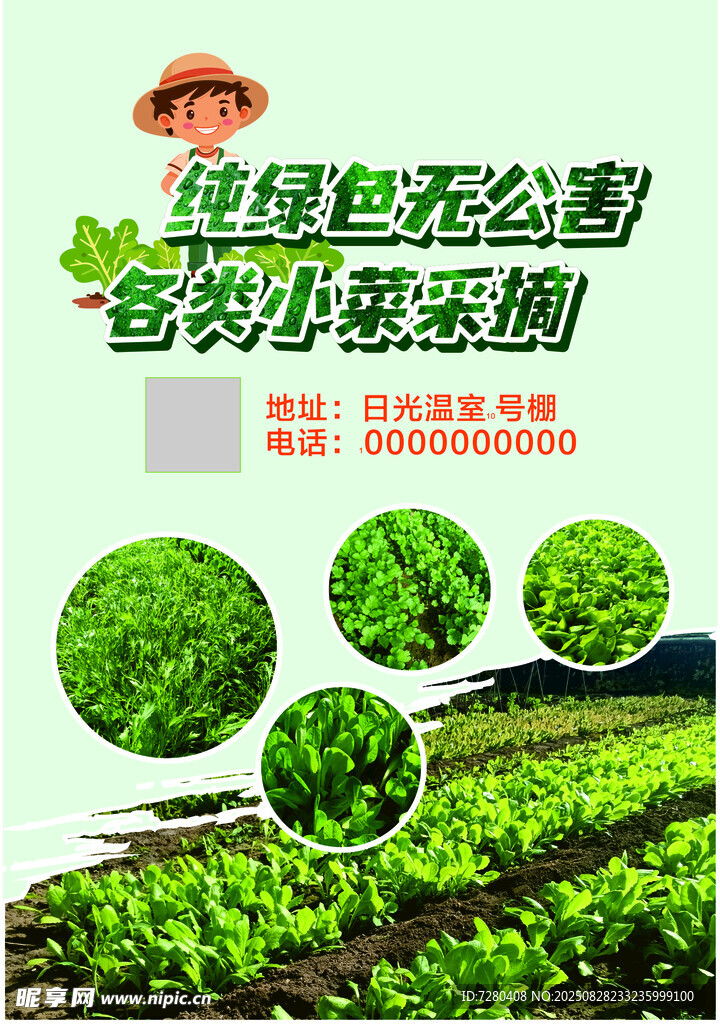 绿色蔬菜种植基地展示