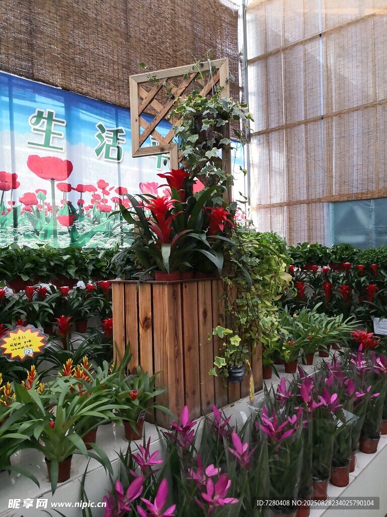 室内花卉展示区景观