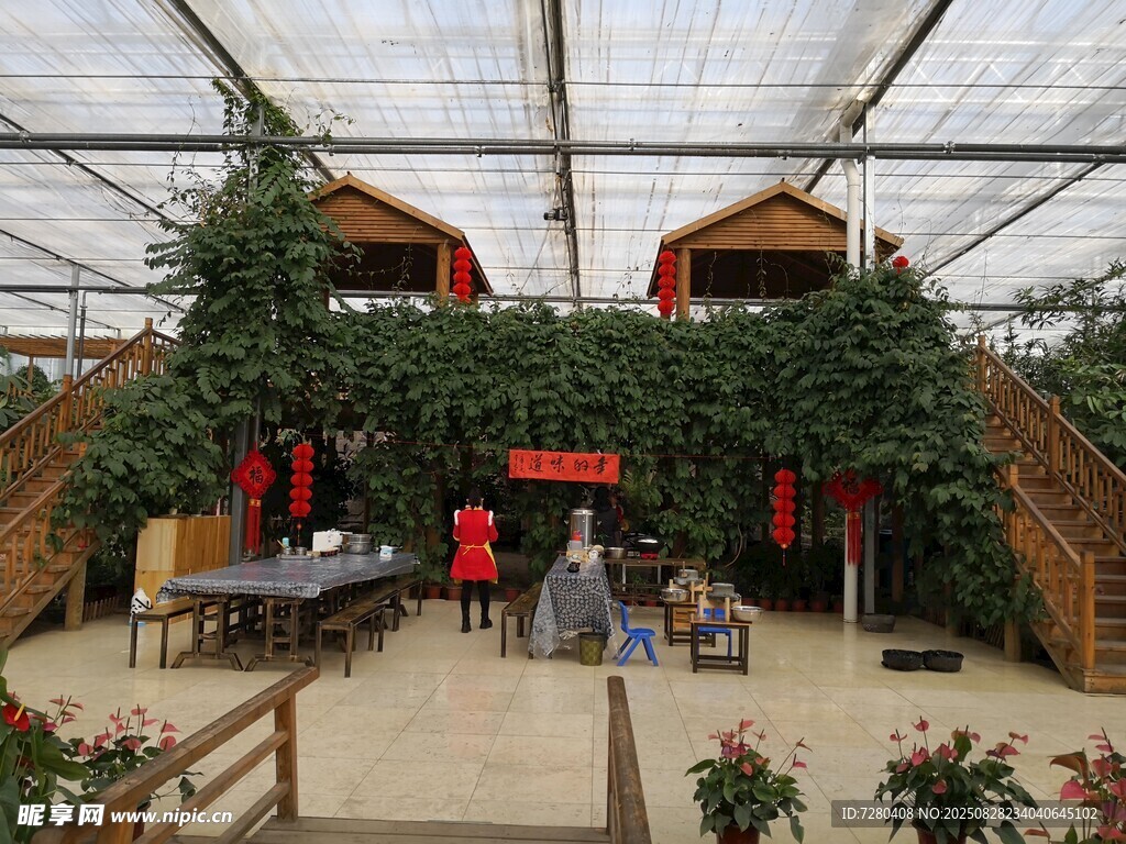 温室中的休闲生活场景