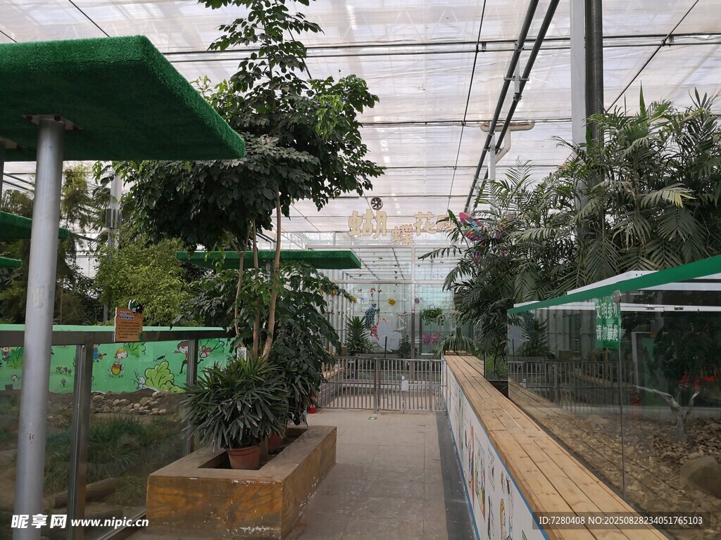温室植物景观