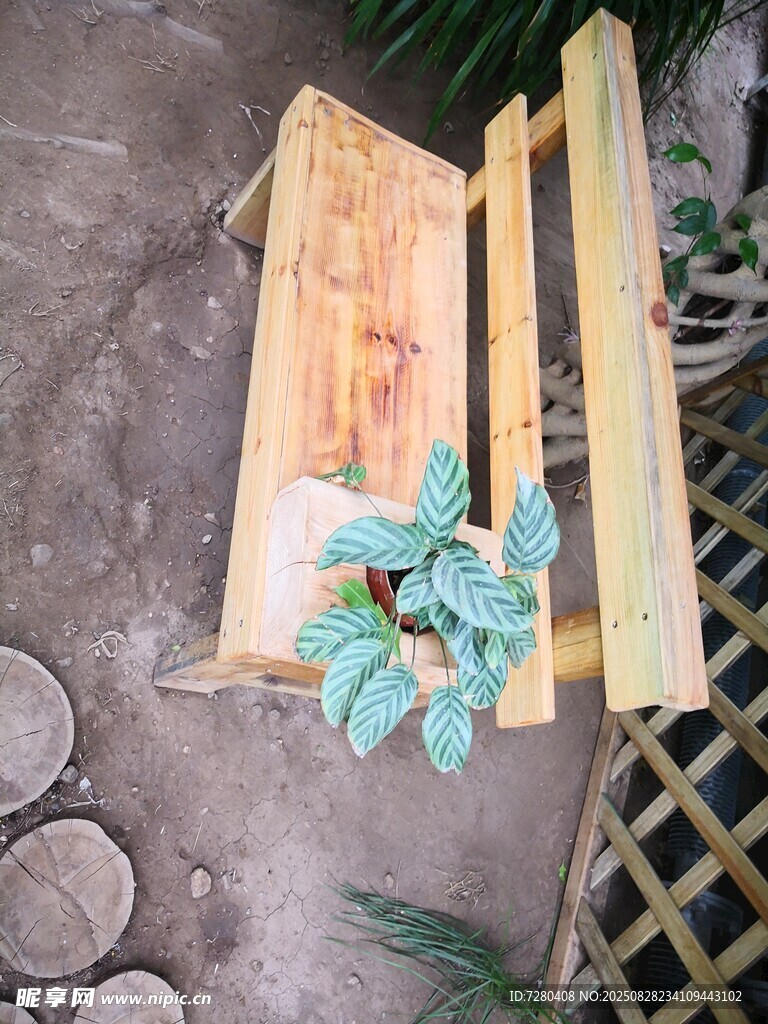 木质花盆与绿植组合