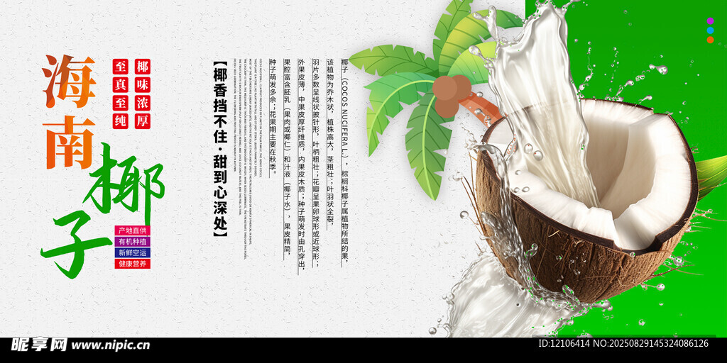 椰子海报