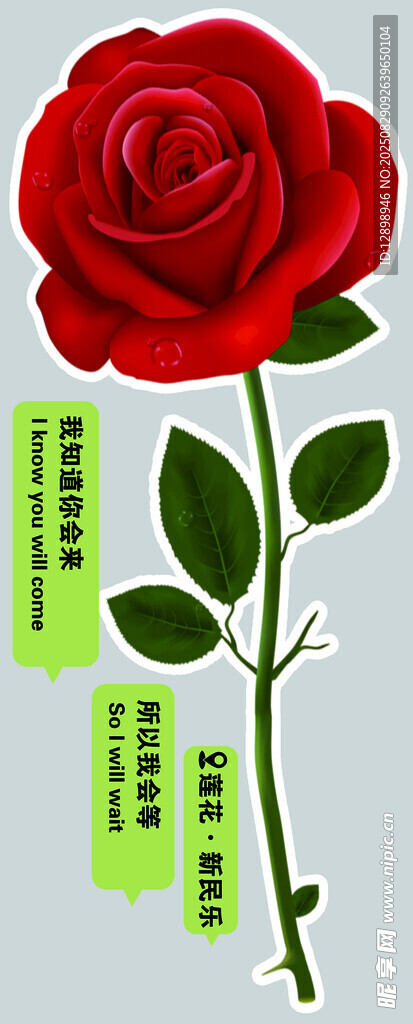 红玫瑰