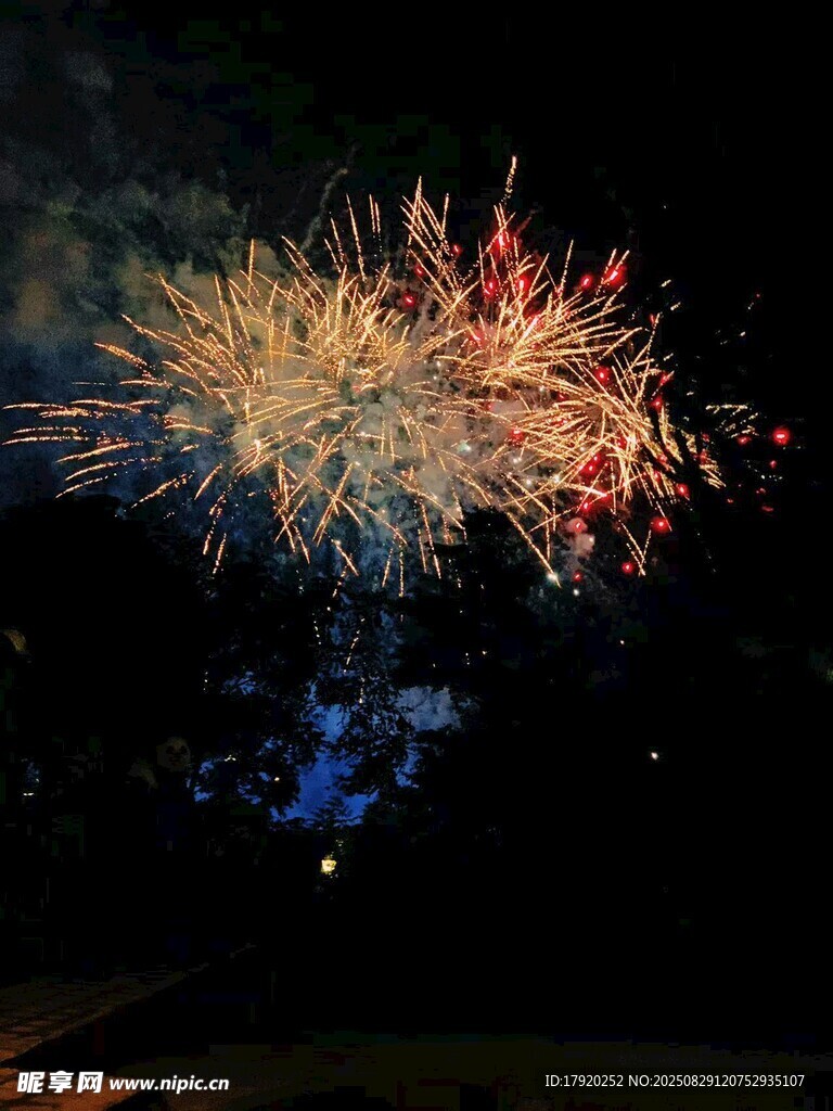 夜空中绚烂的烟花绽放