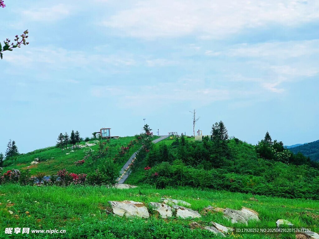 绿意盎然的山间美景