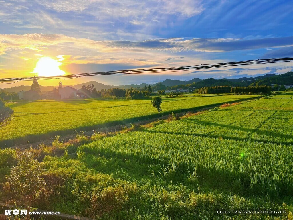 田园日落美景