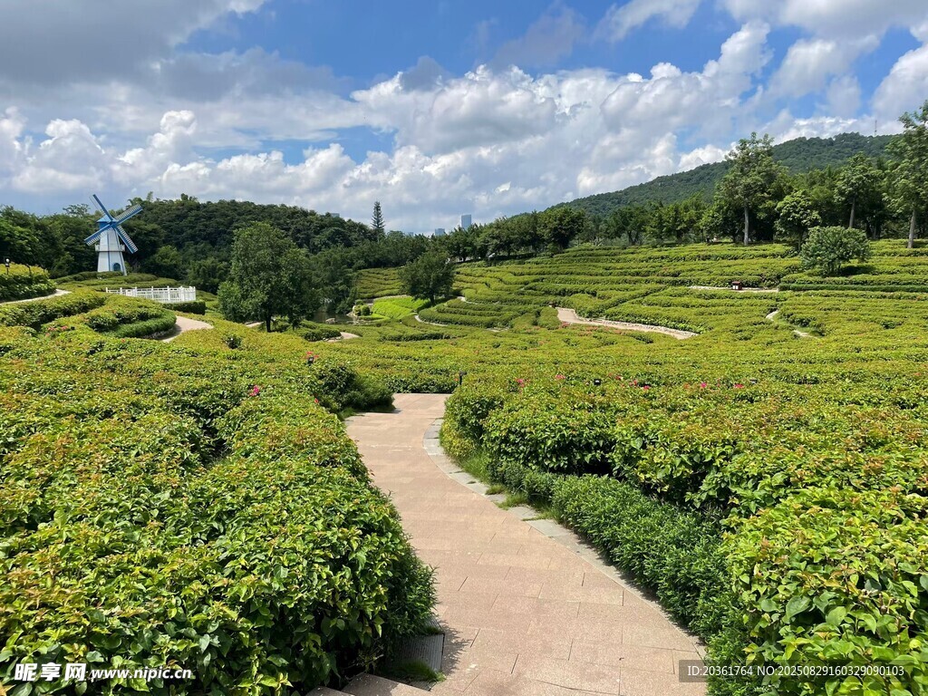 田园小径