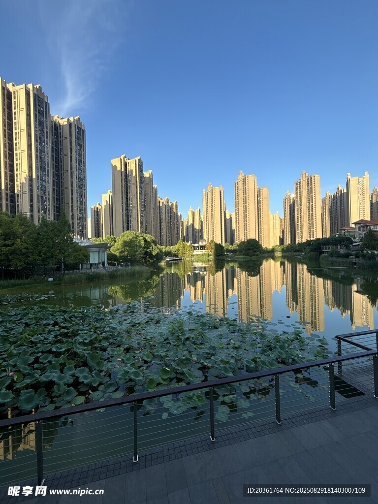 湖畔高楼景观