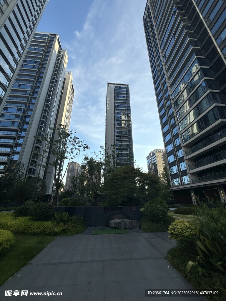 城市高楼间的幽静绿化小道