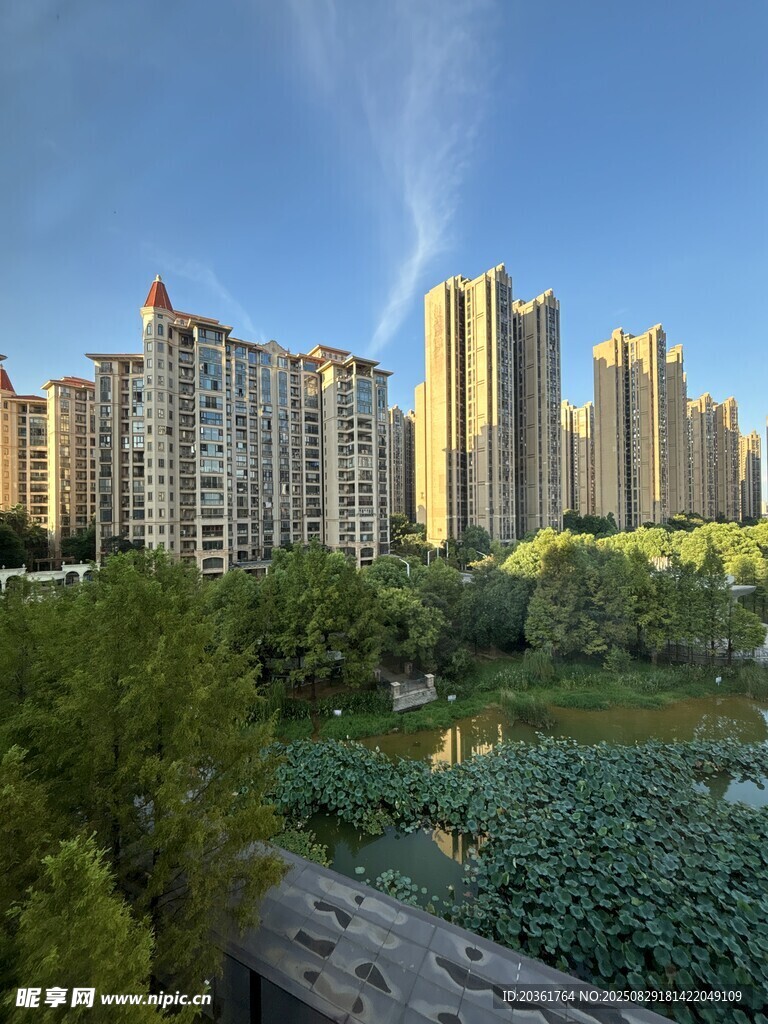 城市湖畔高楼美景