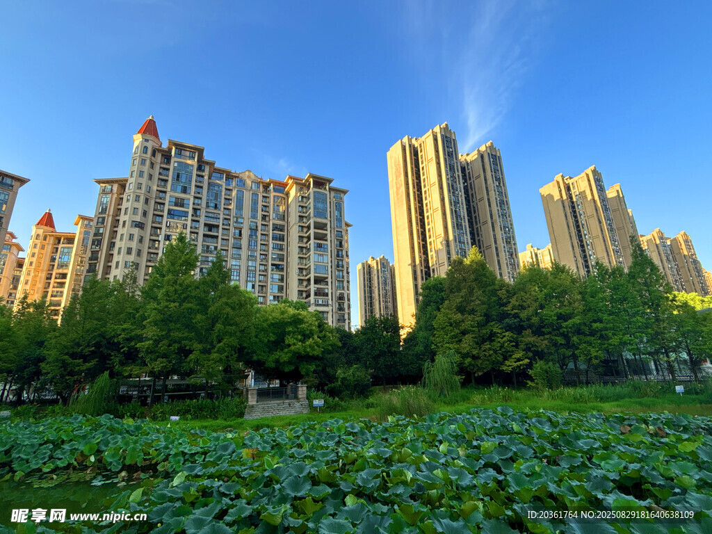 城市湖畔高楼与绿植景观