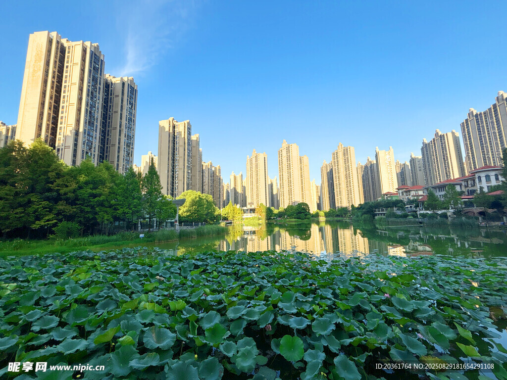湖畔绿植映衬高楼美景