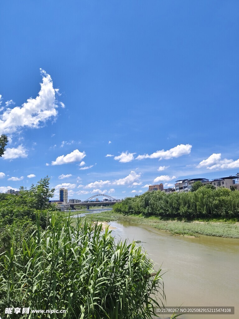 河畔蓝天绿植风景