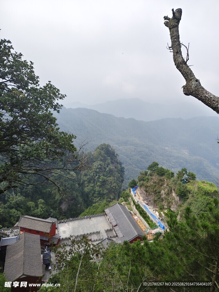山间景致 孤枝伴远峰