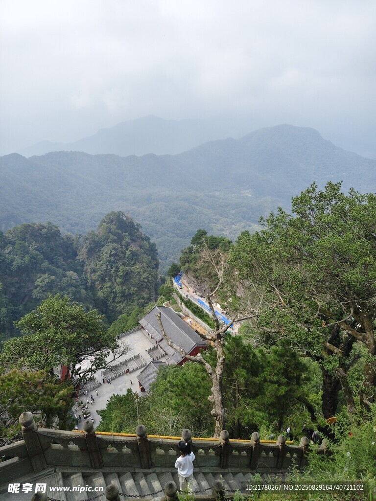 山间风光 葱郁林木
