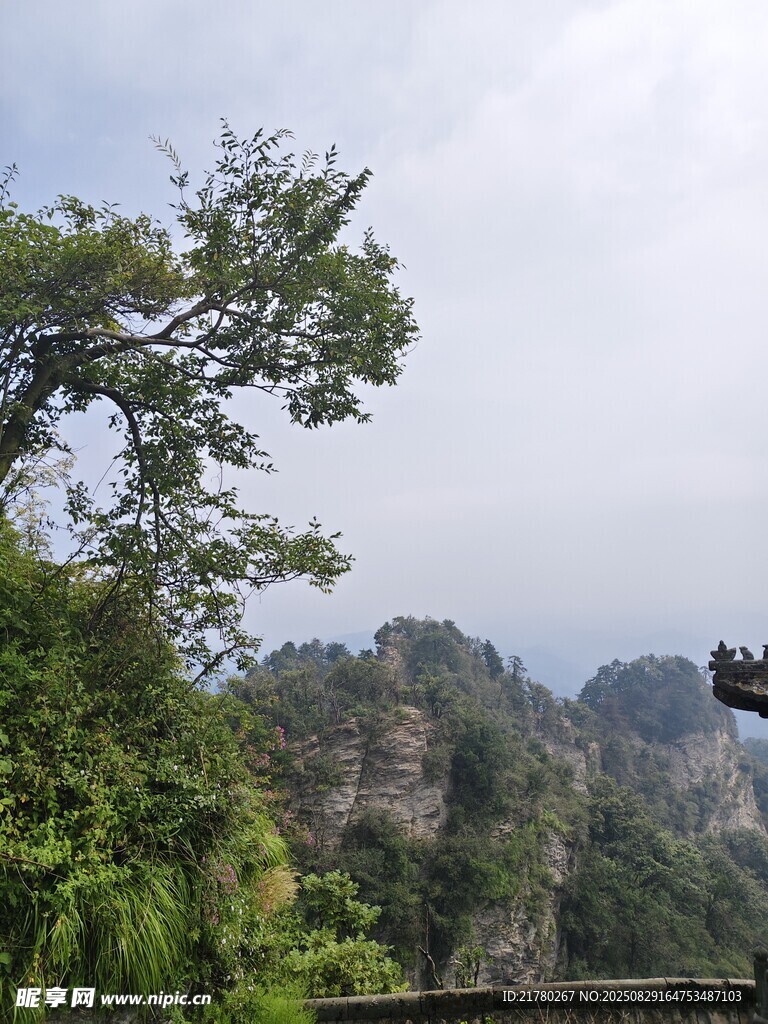武当山奇峰绿树景观