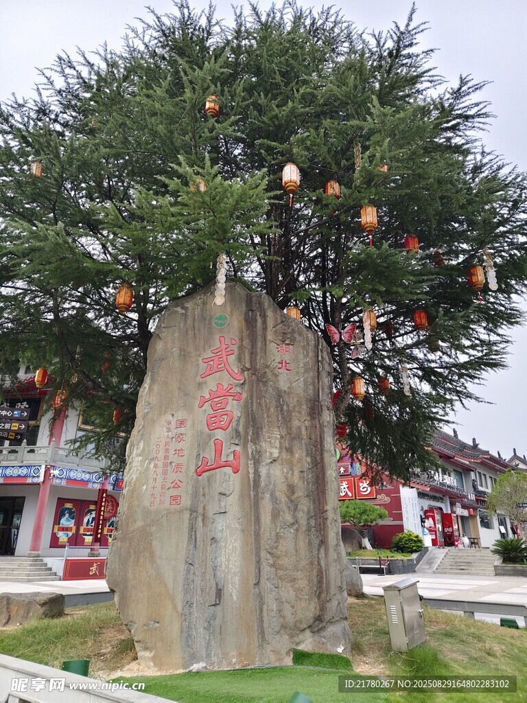 古树下的刻字石碑景观