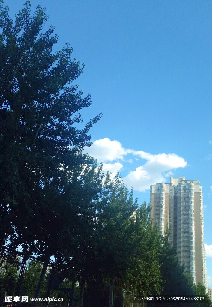 绿树掩映下的高楼景观