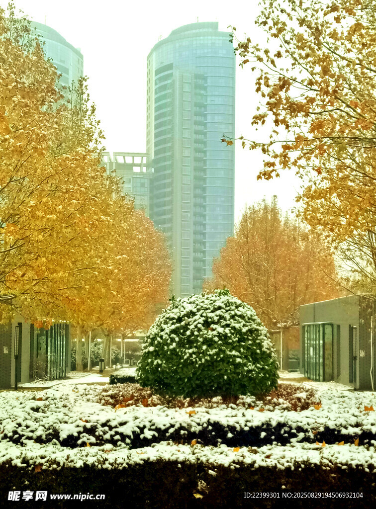 秋日城市中的美丽景观