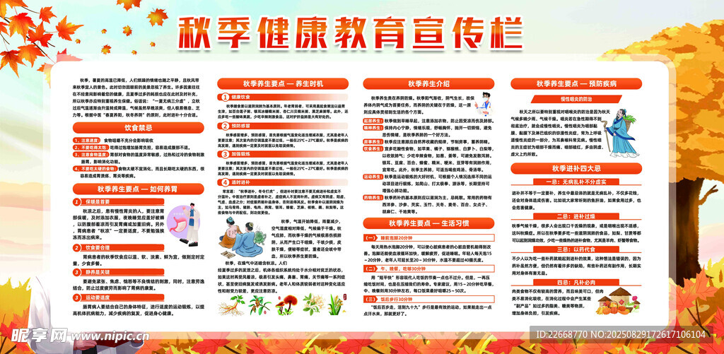 秋季健康教育宣传栏