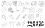 手绘素描花卉免扣素材