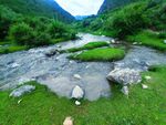 山间小溪  山清水秀