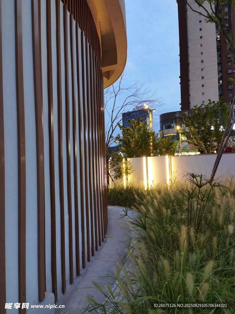现代建筑一角与绿植景观