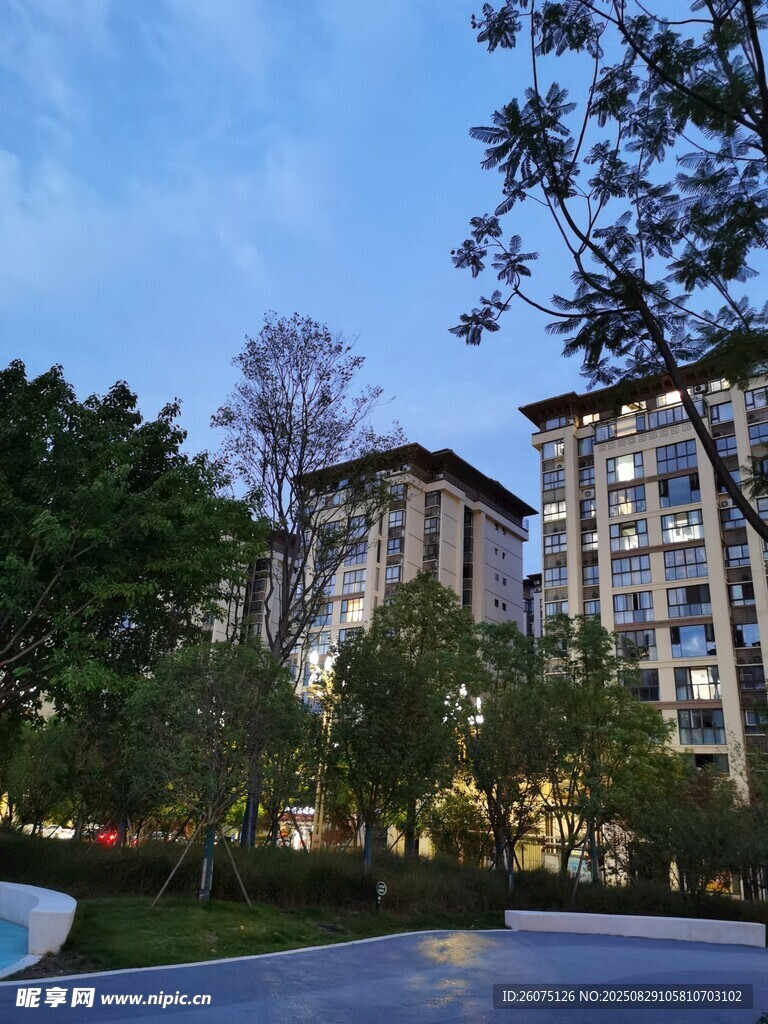傍晚小区景观与高层住宅