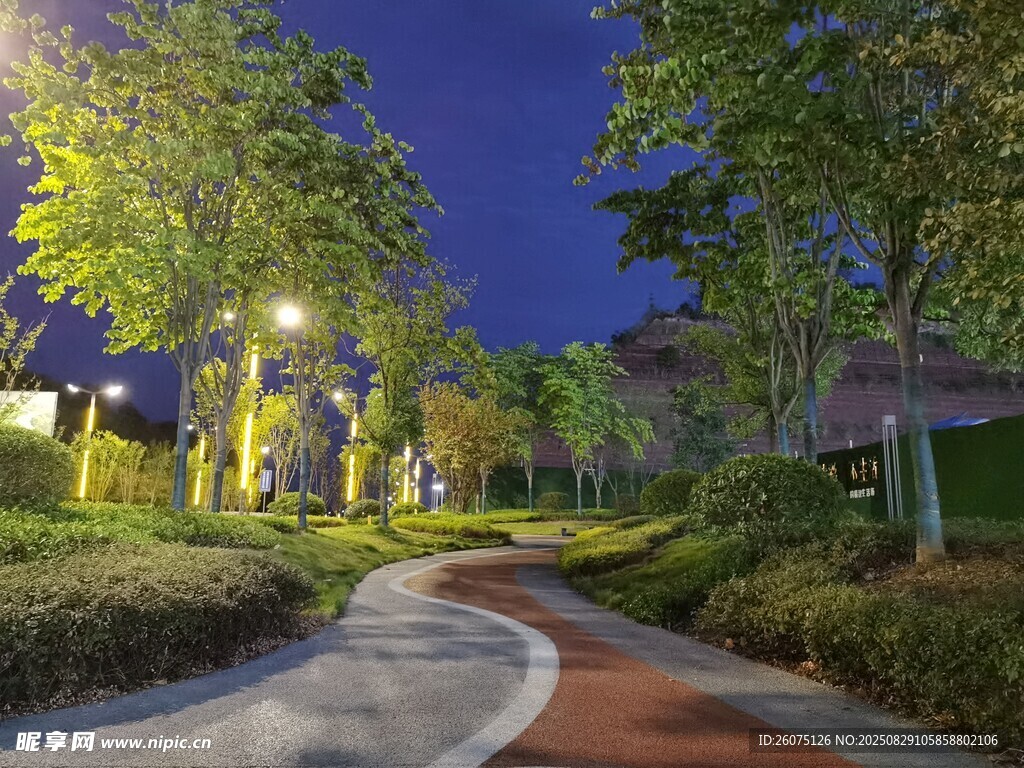夜晚公园蜿蜒小径美景