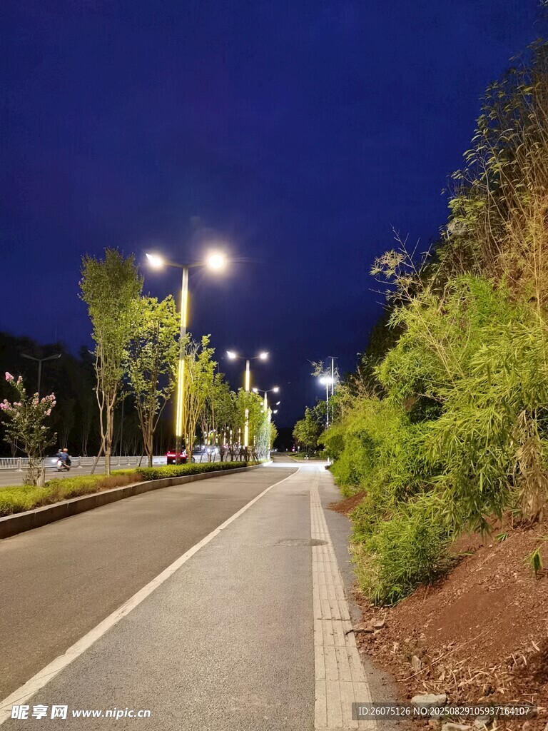 夜晚的静谧道路景观