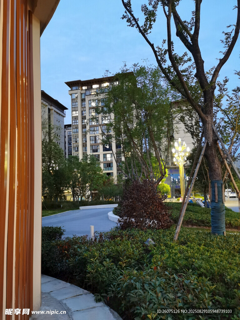 小区优美景观一角