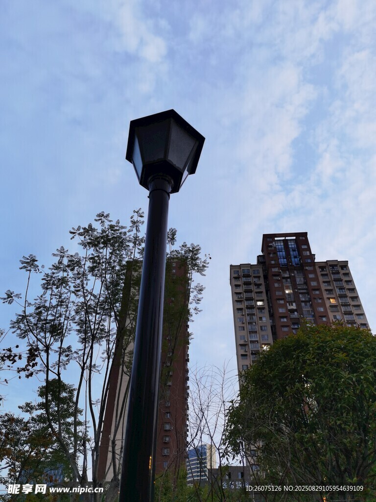仰拍城市中高耸路灯与楼宇