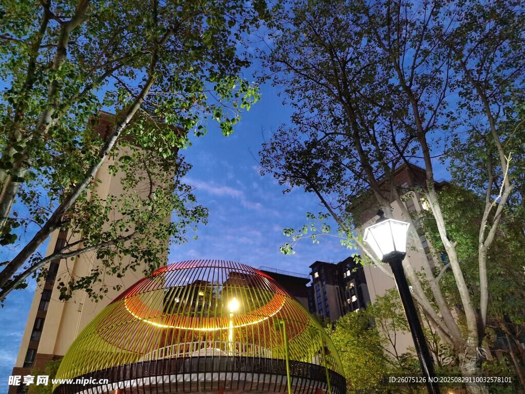 夜幕下的休闲设施与绿植景观