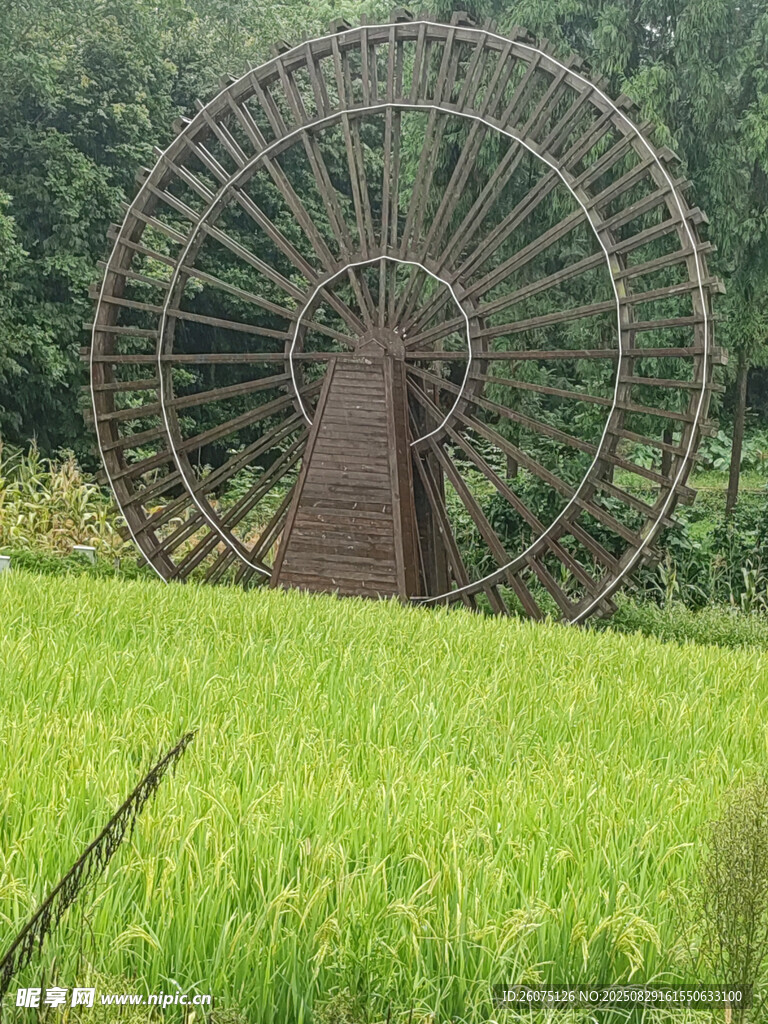 田野中的古朴大风车