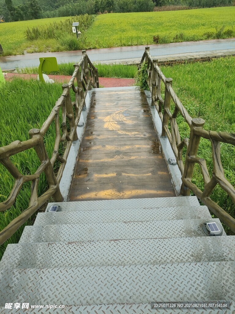 木质阶梯桥通往绿野