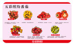 五彩缤纷番茄