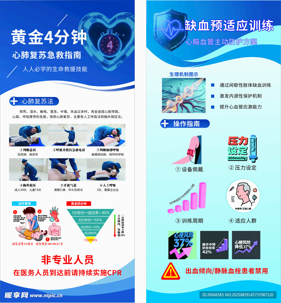 心肺复苏展架 
