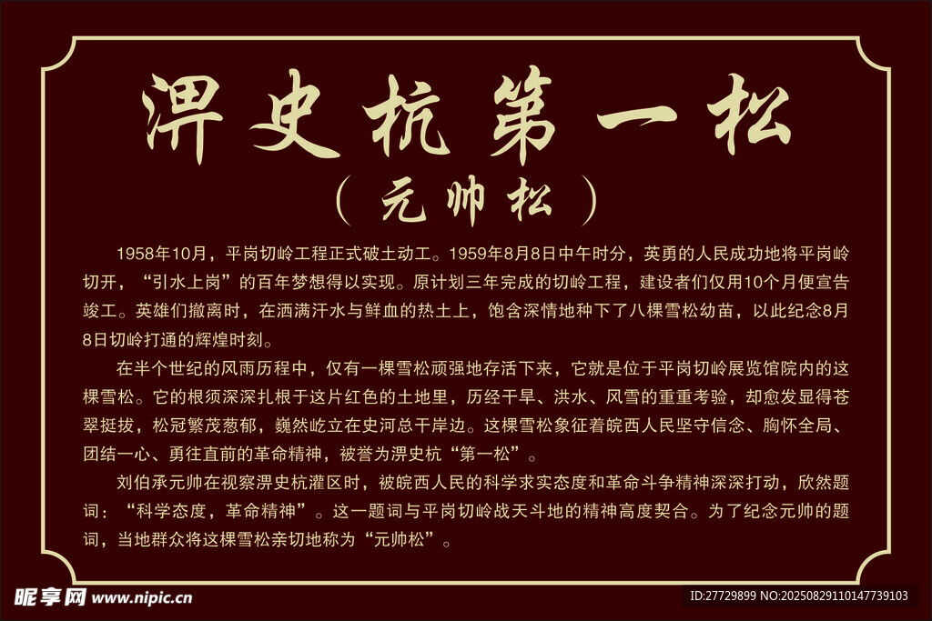 历史第一松