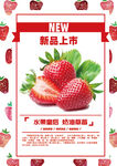 草莓彩页