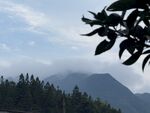 山
