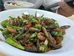 小鱼小虾