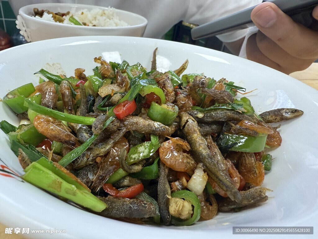 小鱼小虾