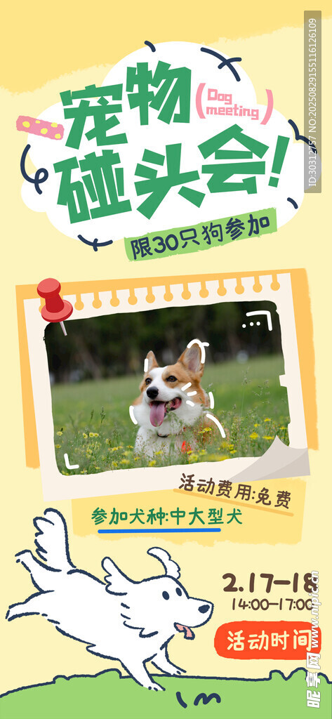 宠物趣味运动会精彩瞬间