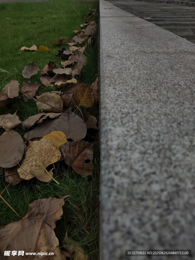 路边落叶与灰色路面场景