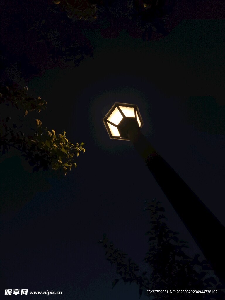暗夜中点亮的路灯