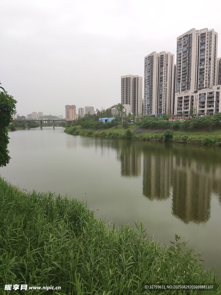 河畔高楼与绿植景观