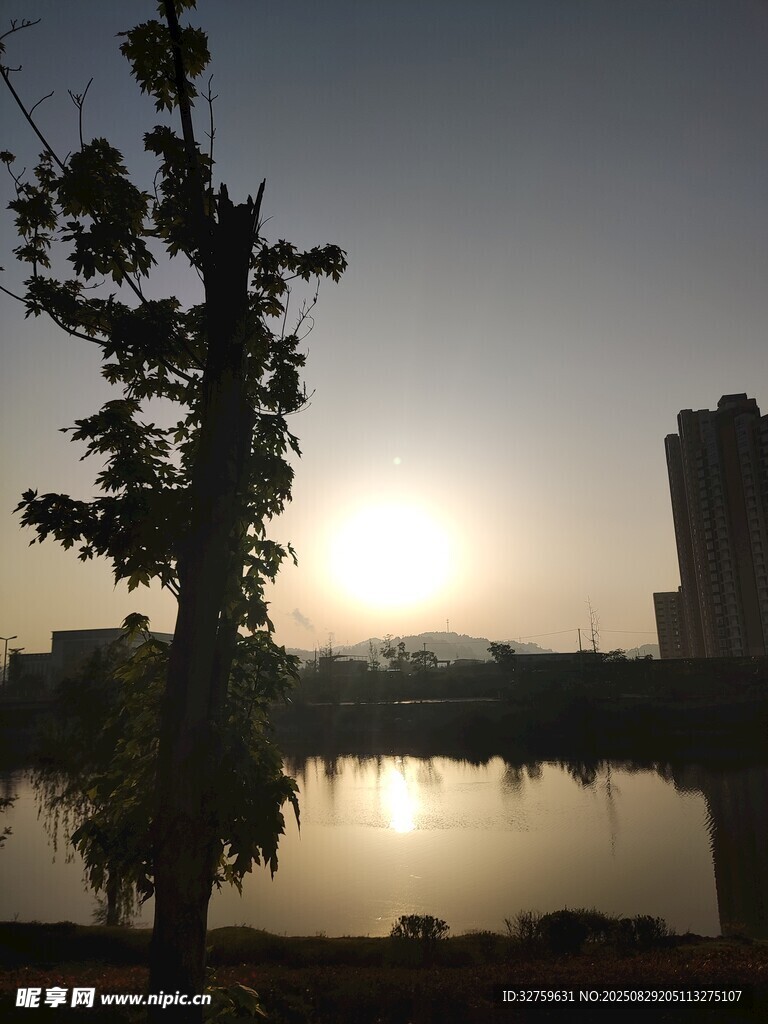 夕阳下的湖畔树影