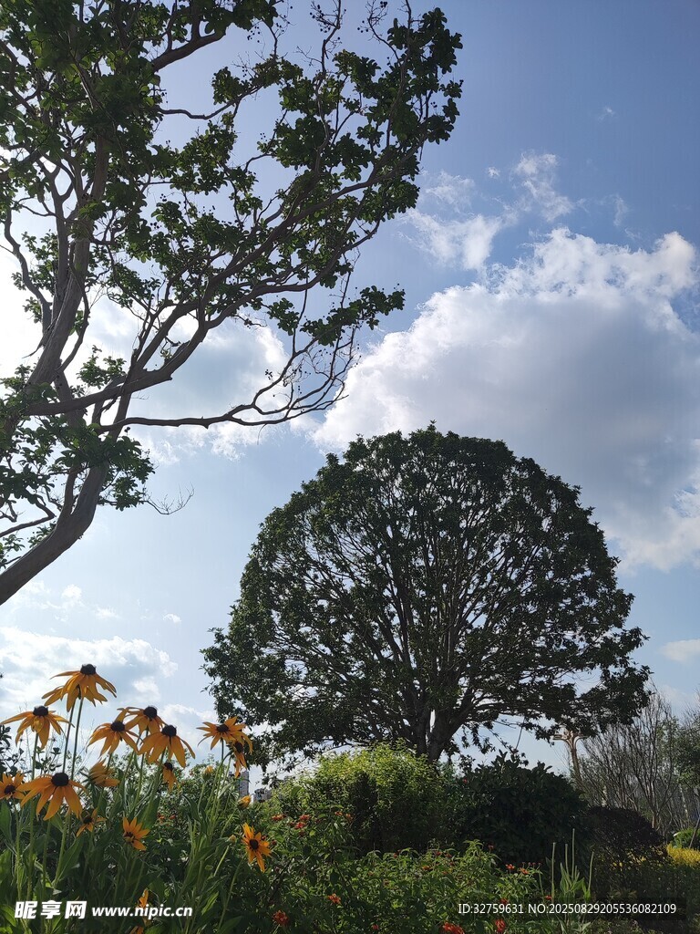户外美丽自然景观一角