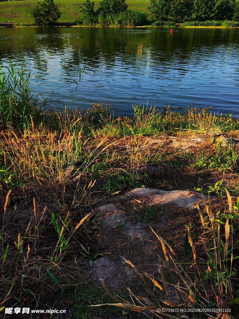 湖畔草地美景